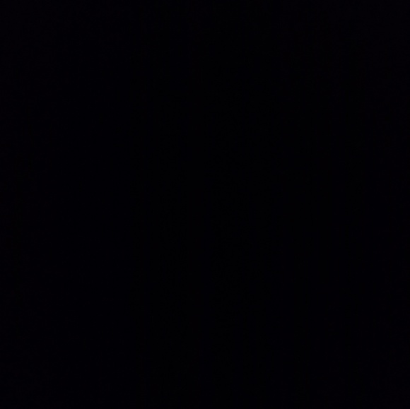 Meet your Posher, Rudy - Picture 1 of 1